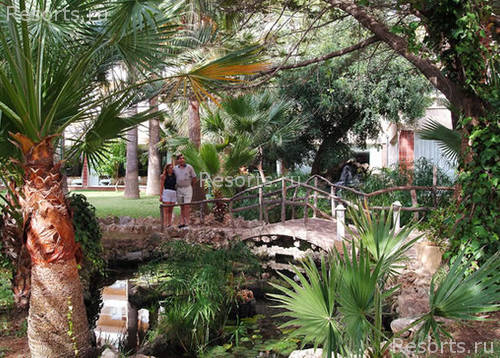 Sol Magalluf Park 5